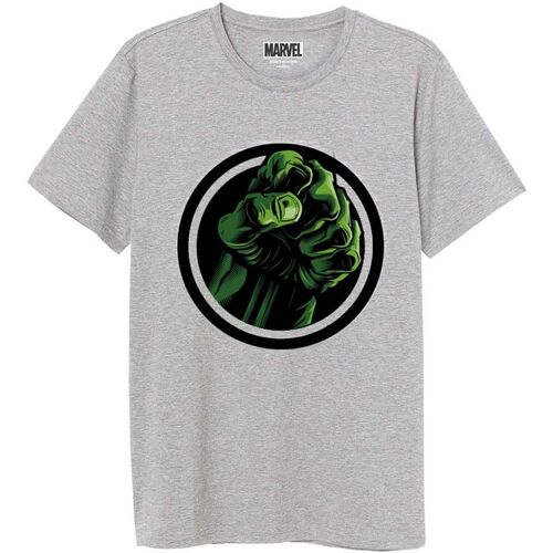 PROMOCION 3X2 - Camiseta juvenil/adulto de Hulk