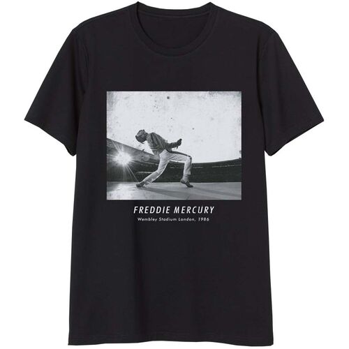 PROMOCION 3X2 - Camiseta juvenil/adulto de Freddie Mercury