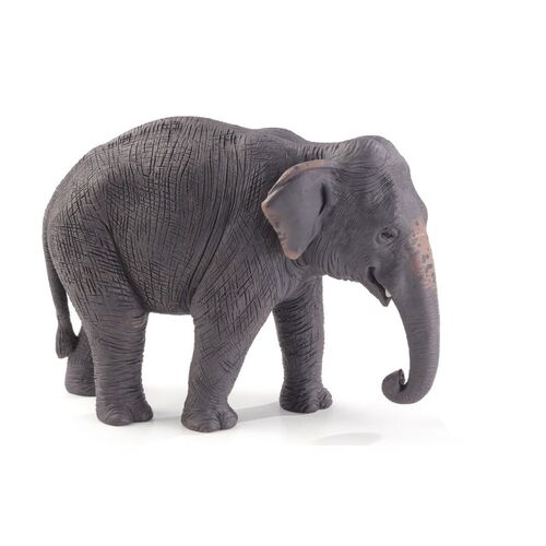 Figura Mojo, Elefante asitico 'serie vida salvaje XL'