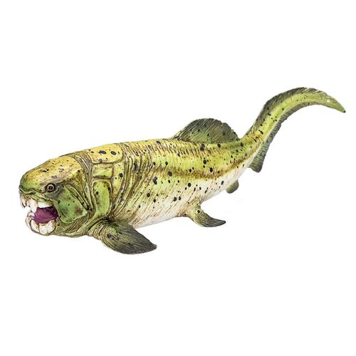Figura Mojo, Dunkleosteus  'serie prehistoricos y dinosaurios XL'
