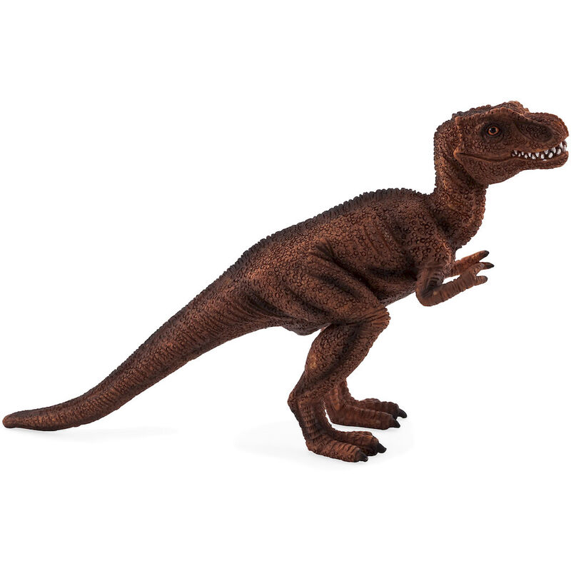 Espectáculo analizar montón Figura Mojo T-Rex bebé 12,5cm 'serie prehistoricos y dinosaurios Medium' -  Regaliz Distribuciones Español