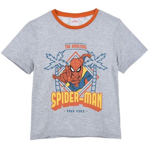 Camiseta algodn manga corta  Spiderman